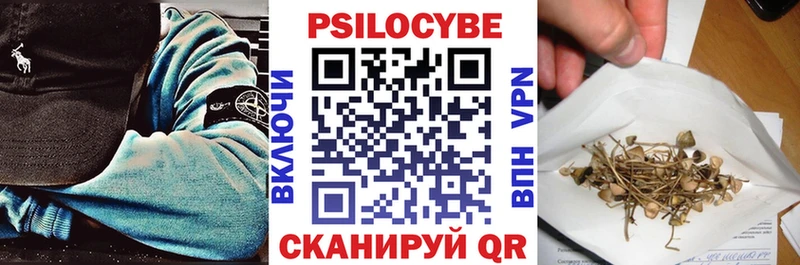 цена Сочи Псилоцибиновые грибы Psilocybe