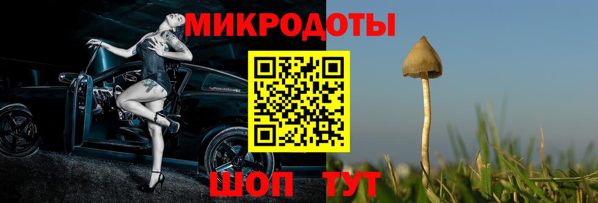 Псилоцибиновые грибы мицелий  Вход с VPN  Сочи 